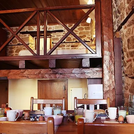 Aristotelis Traditional *